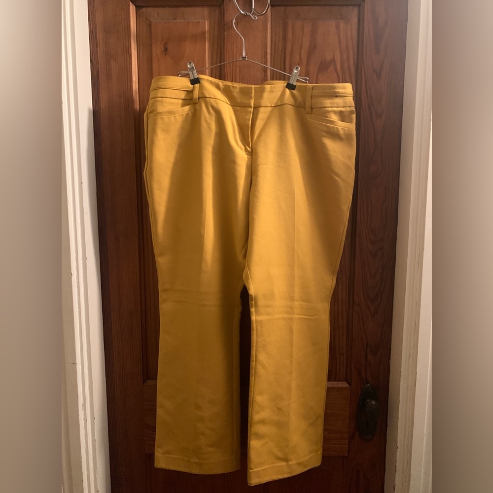 Dress pants
